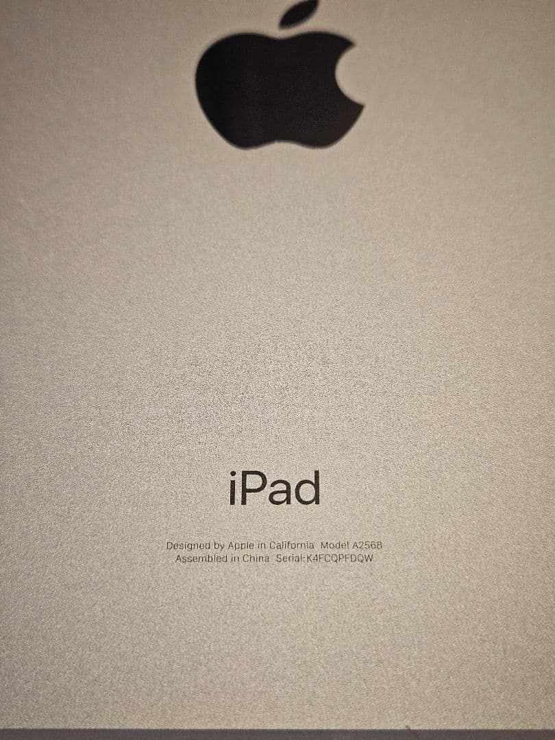 専用 iPad mini 6 64GB Wi-Fi+ Cellular ピンク