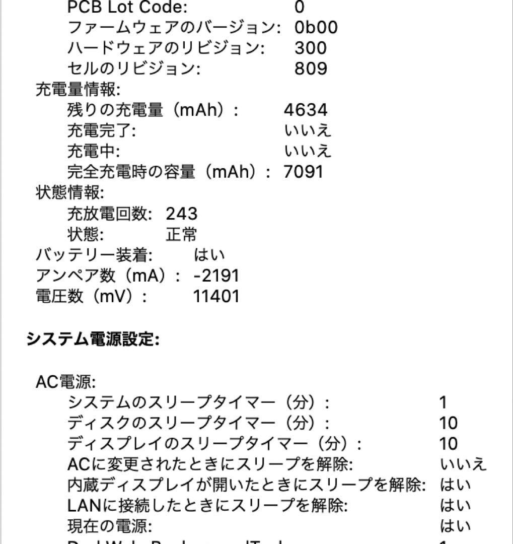 MacBook本体 MacBook Pro 16-inch 2019 i9 32GB 1TB