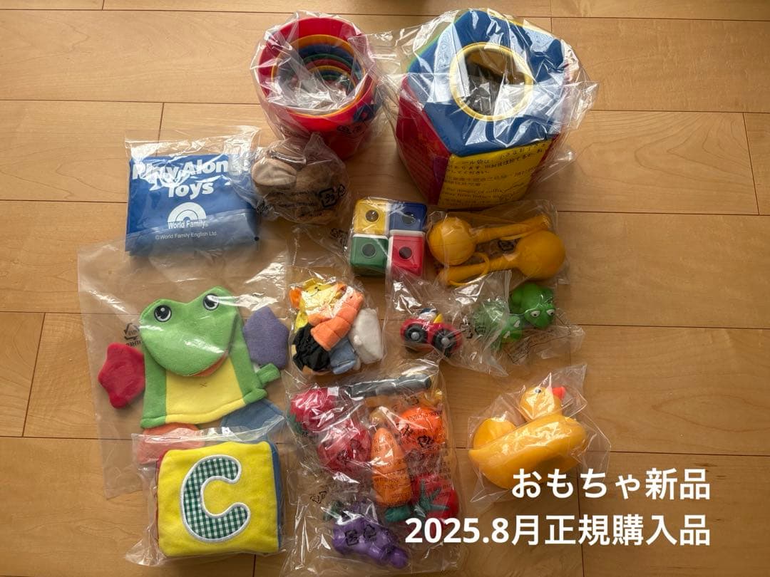 DWE プレイアロングセット[おもちゃ新品]