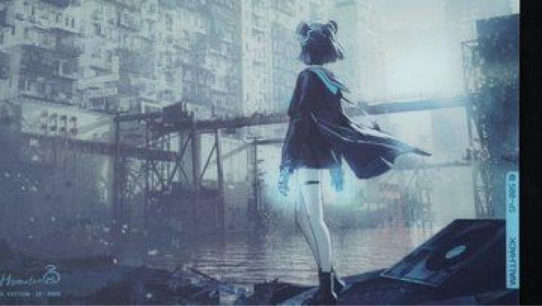 WALLHACK　【新品】SP-005 限定版: Desolate Yume