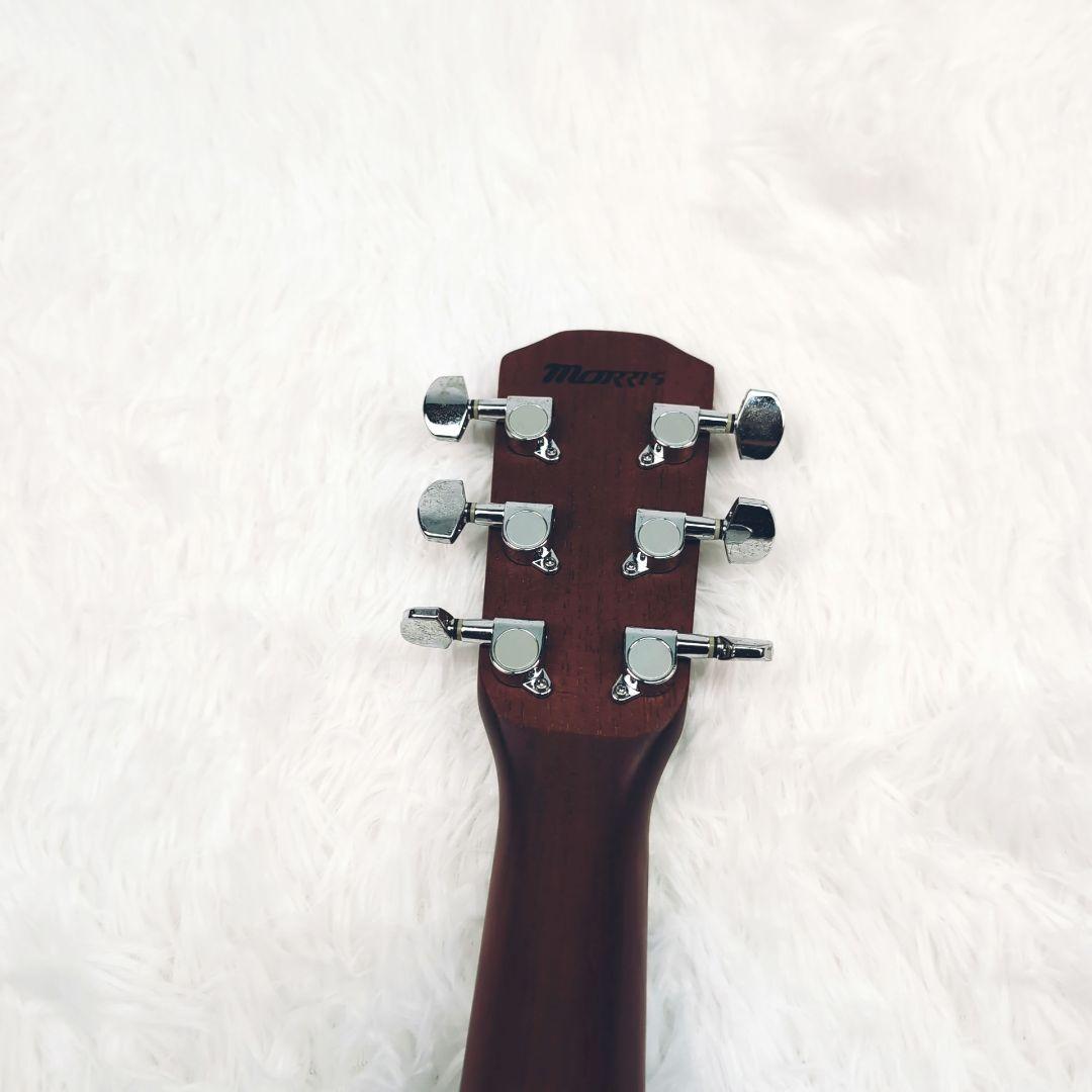 Morris　ギター　本体のみ　M-01ⅡTS　MATSUMOTO