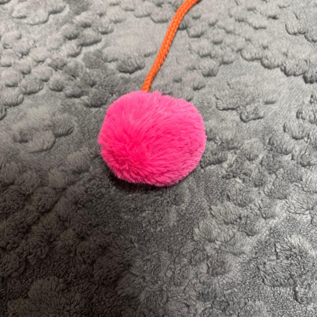 ズートピア ニック ファンキャップ