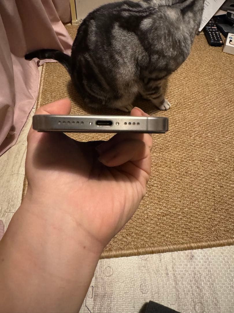 The Oil Man専用，海外版iphone 15 Pro Max 512GB