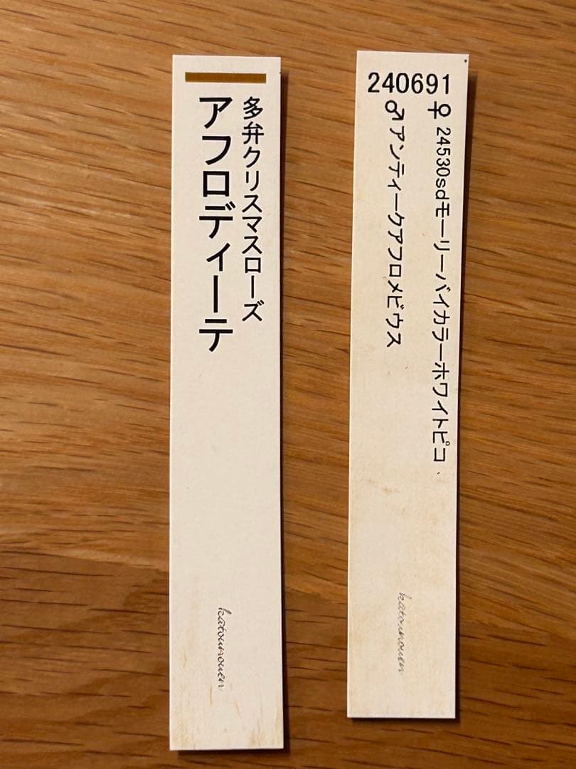本日発送　アンティークアフロメビウス交配　イエローアフロディーテピコティ