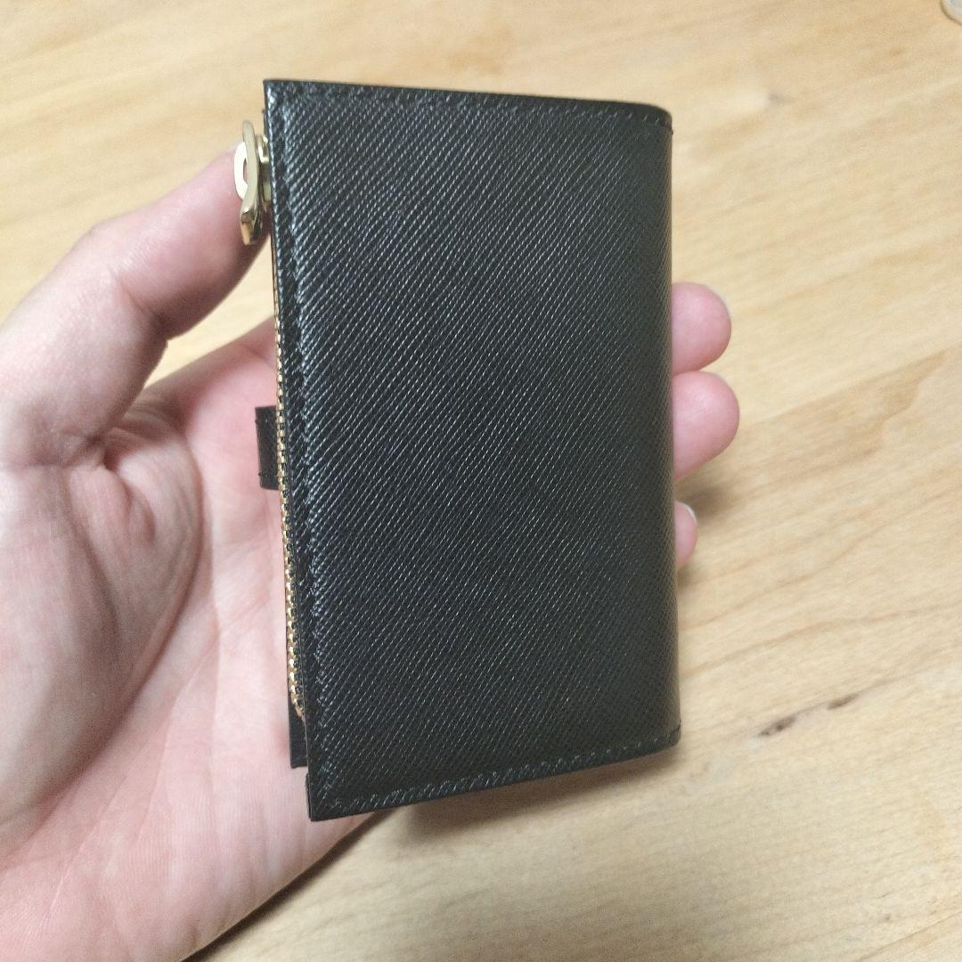 ペッレモルビダ　コンパクトウォレット 限定品　レオン別注