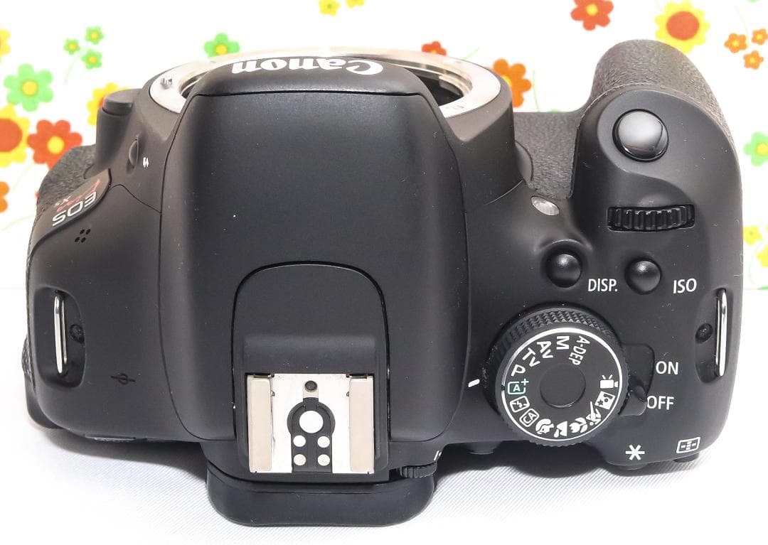 canon kiss x5☆ダブルレンズ！☆スマホに転送！☆自撮りが楽々☆動画可