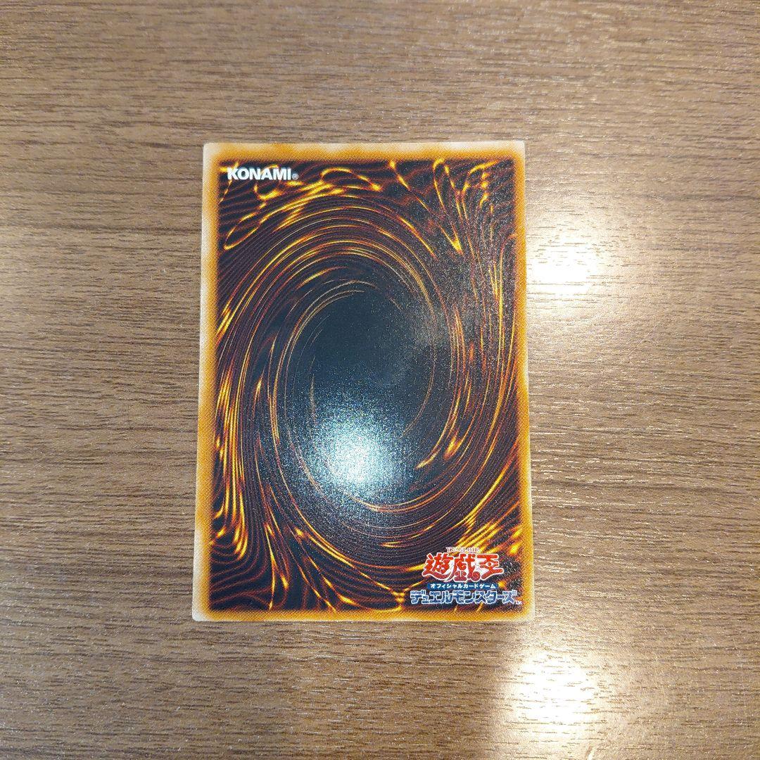 真紅眼の闇竜/レッドアイズダークネスドラゴン/ ドラゴン族/遊戯王/レリーフ