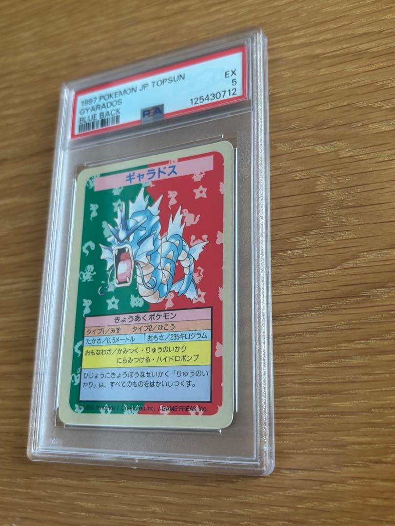 PSAトップサン　ギャラドス　番号なし　エラーカード　希少　ポケモンカード　裏青