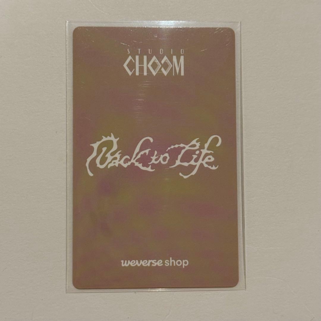 タレントカード &team Back to Life studio choom NICHOLAS