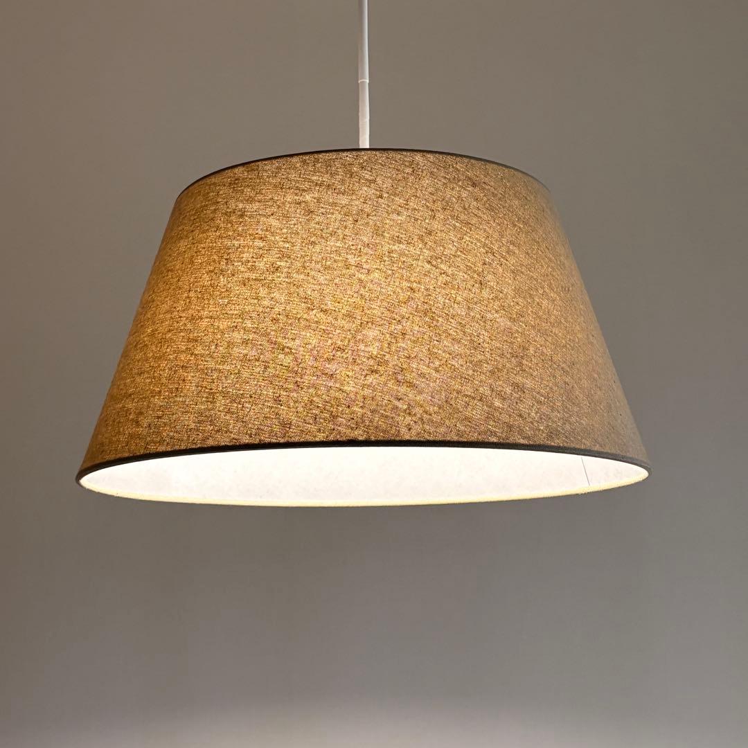 【美品】ARTWORKSTUDIO ペンダントライト　シャロー