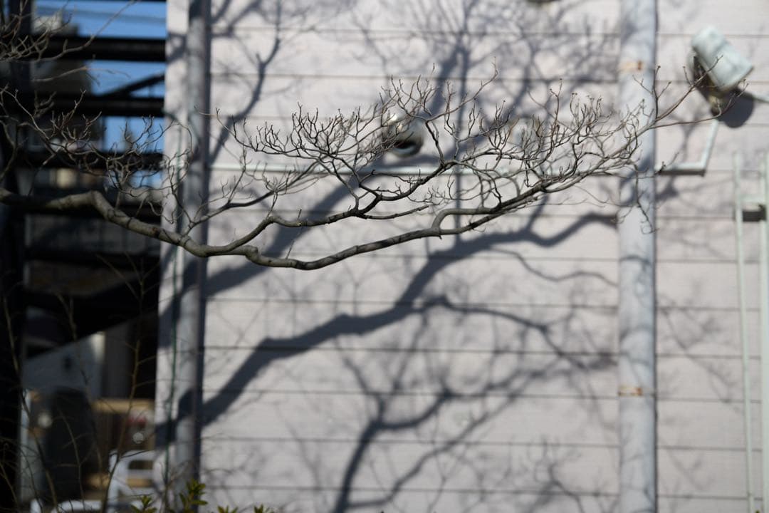 TTArtisan AF 75mm F2 （ニコンZマウント•箱無•保証書等無）