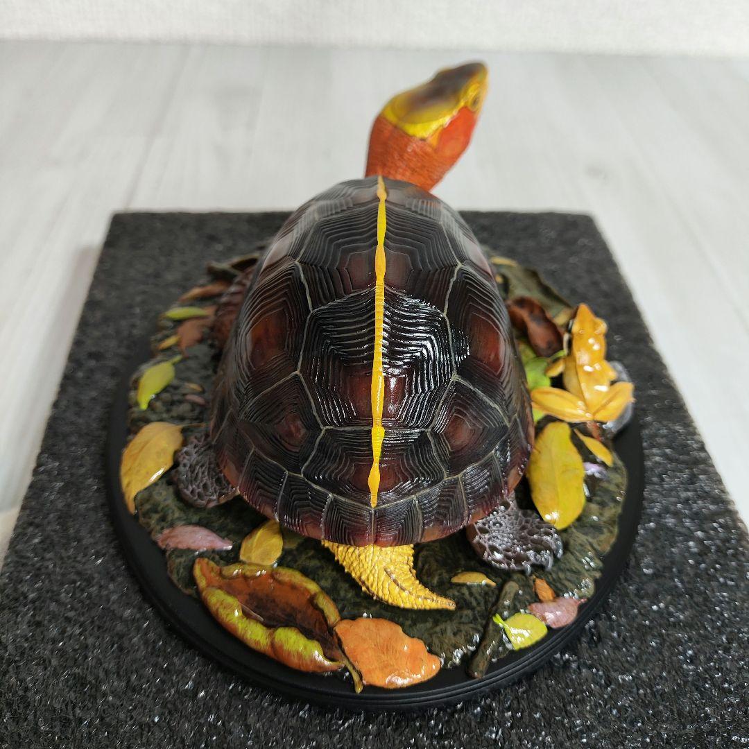 【動物の惑星】★セマルハコガメ★写実シリーズ.自然界第4弾!! フィギュア