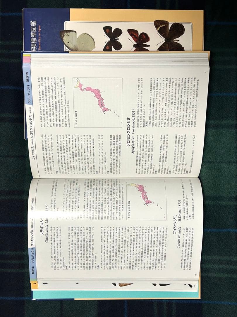 日本産蝶類標準図鑑　学研　カバー付き