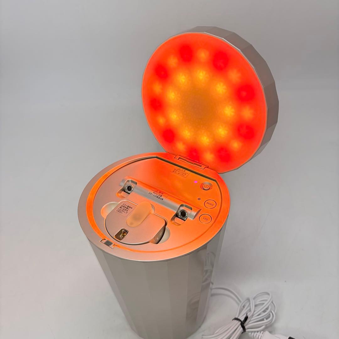 【美品・付属品完備】YA-MAN ヤーマン フォトスチーマー IS-101N