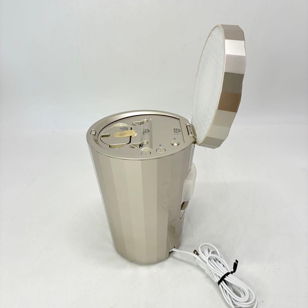 【美品・付属品完備】YA-MAN ヤーマン フォトスチーマー IS-101N