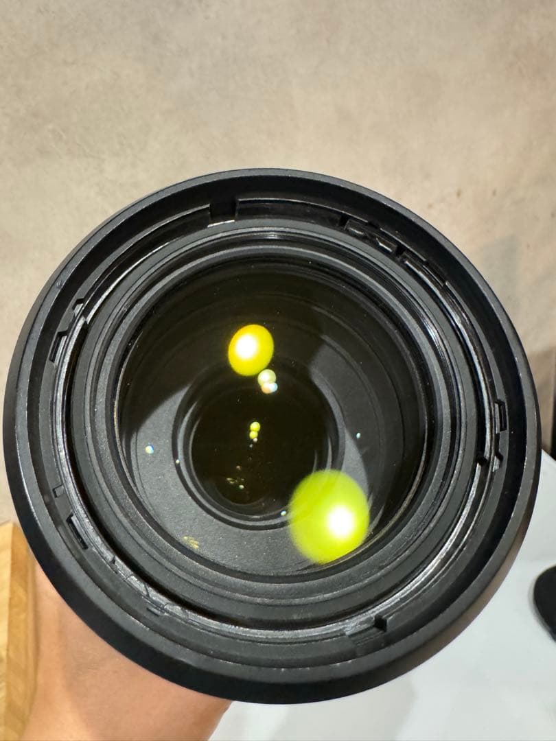 タムロン100-400mm (Model A035)ニコン