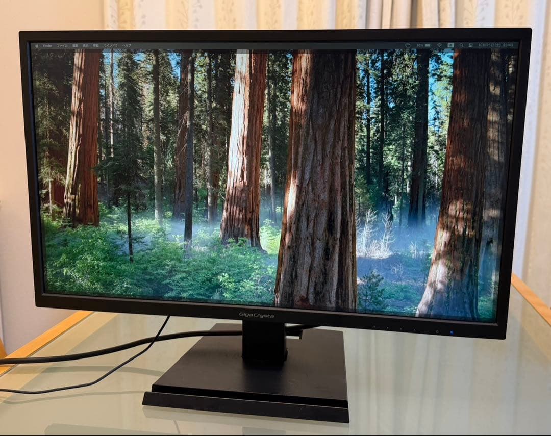 I•O DATA製　24.5型液晶モニター　GigaCrysta