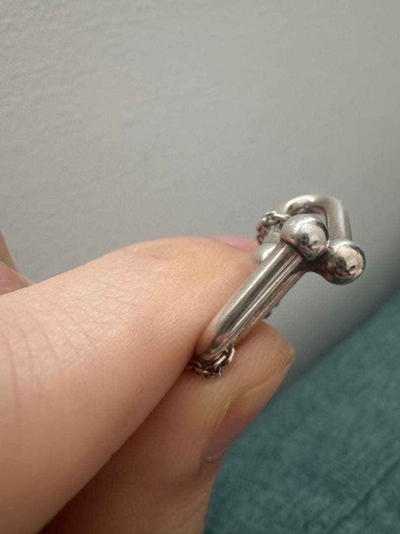 ティファニーダブルリンクネックレス