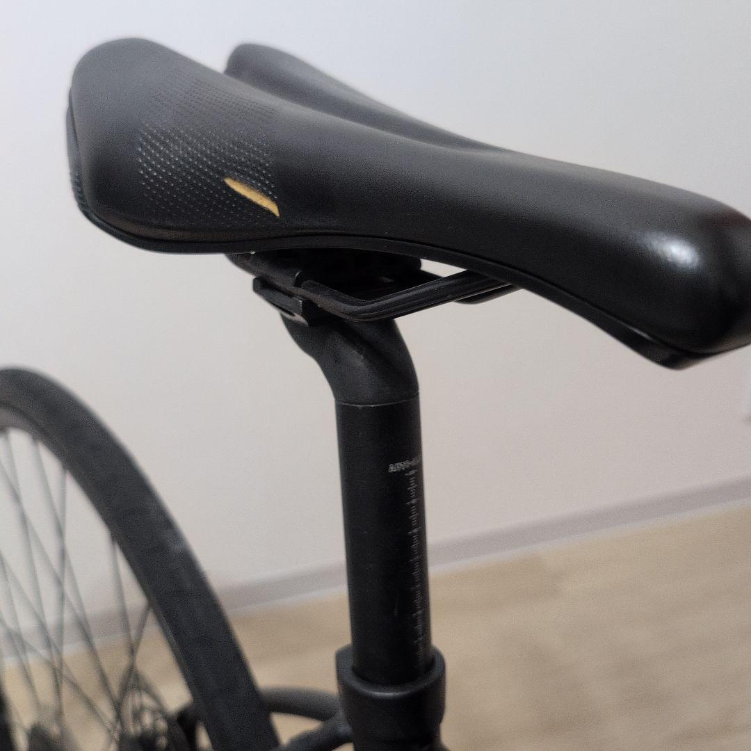 GIANT ESCAPE RX 2 DISC S マットブラック