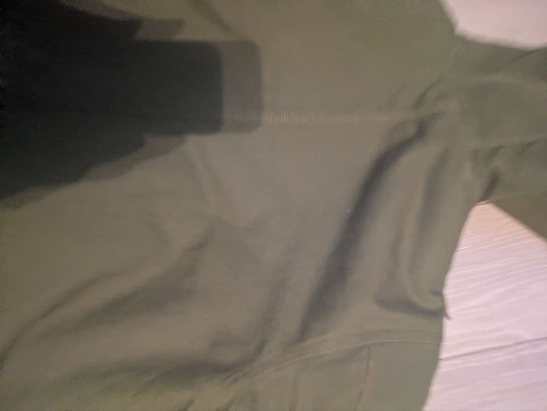 Patagonia　ラインドキャンバスフーディ　廃盤