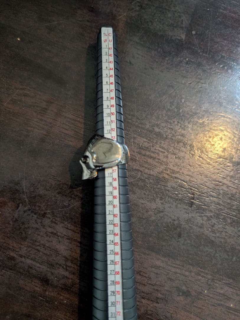 ナンバーナイン スカルリング ブラックコーティング 15号