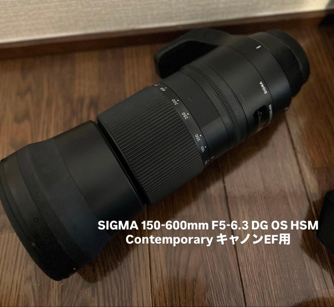 フィルムカメラ SIGMA 150-600mm F5-6.3