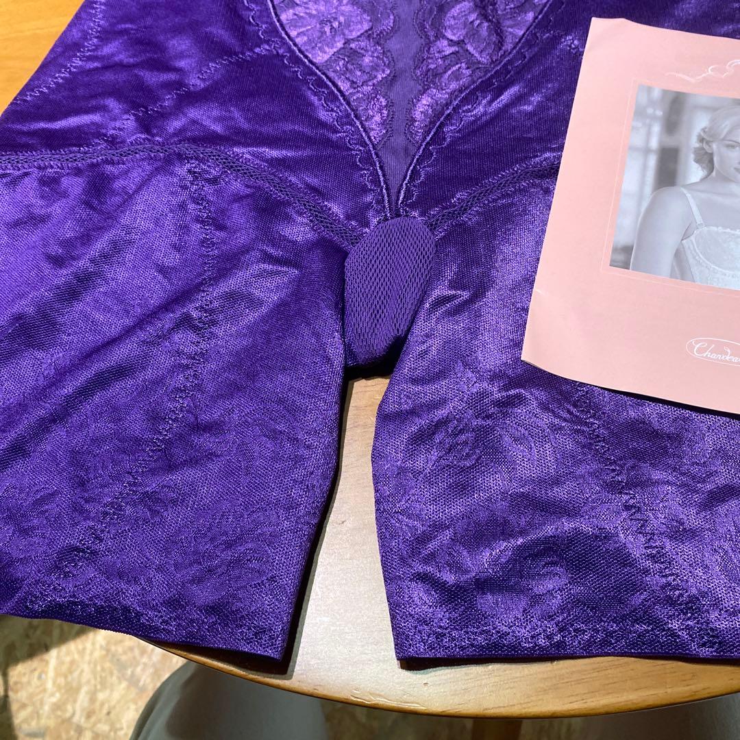 お値下げ新品未使用品シャンデール82ガードル