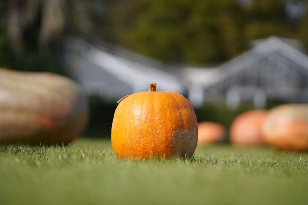 【動作確認済】CANON FD 100mm f2.8 S.S.C. 初期保証付