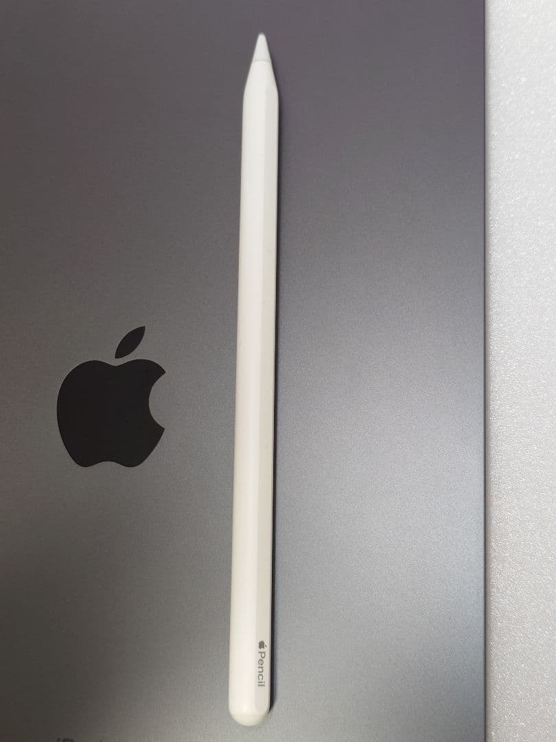 iPadPro11インチ256G（第1世代）Applepencil（第2世代）付