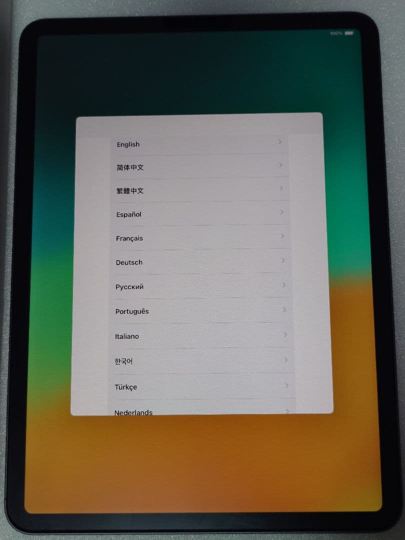 iPadPro11インチ256G（第1世代）Applepencil（第2世代）付