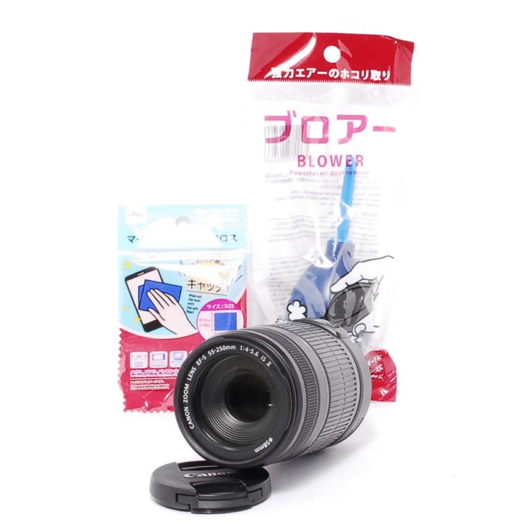 手ぶれ補正付き❤️Canon EF-S 55-250mm IS❤️スポーツ観戦等にも