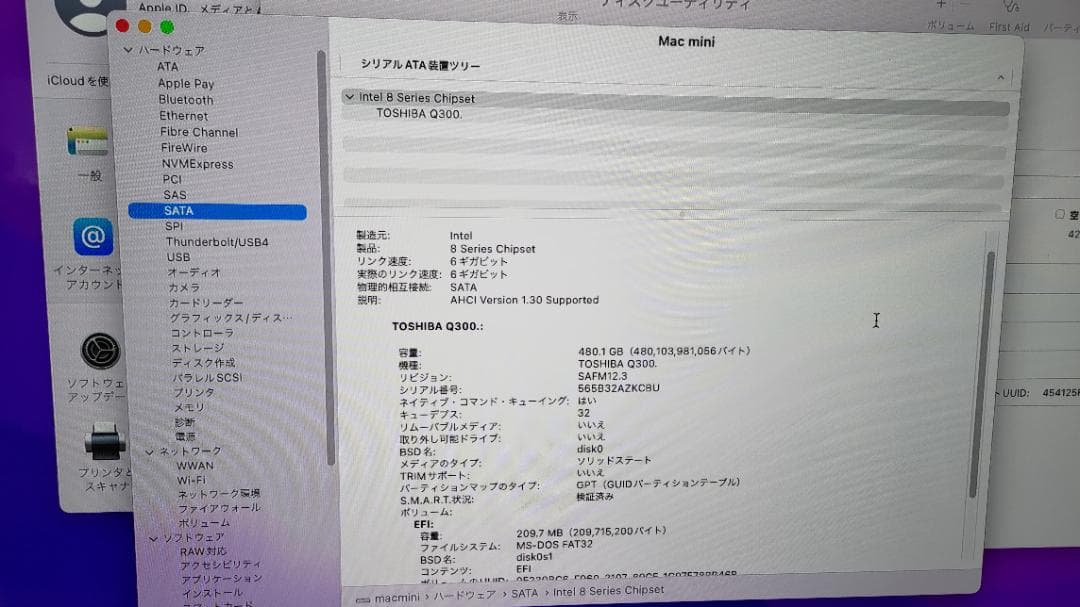 Macデスクトップ APPLE Mac mini MAC MINI MGEQ2J/A