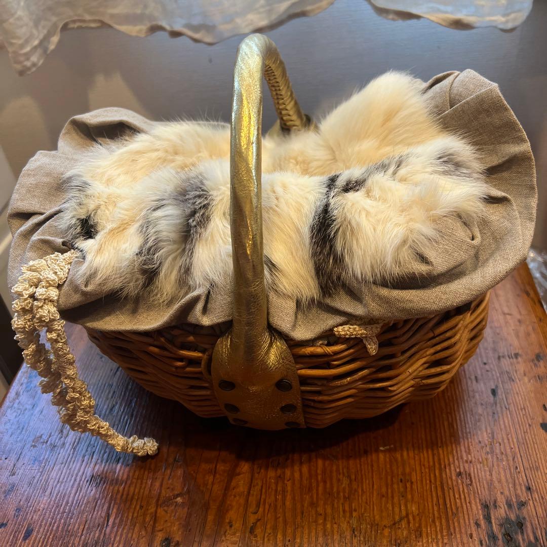 エバゴスカゴバッグ@a66