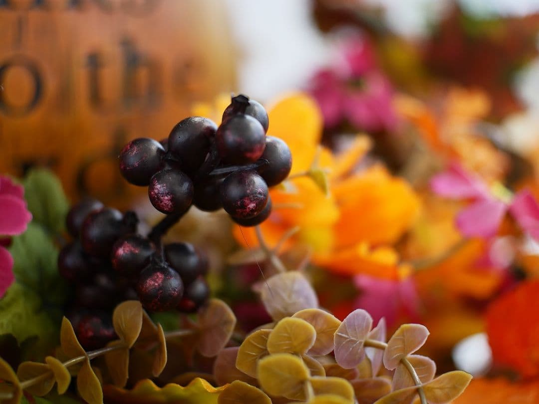 25mm F1.8 単焦点！SONYミラーレス対応！サードパーティ！マニュアル！