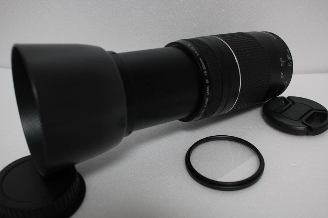 スポーツ観戦/キャノン/Canon EF 75-300㎜F4-5.6 III