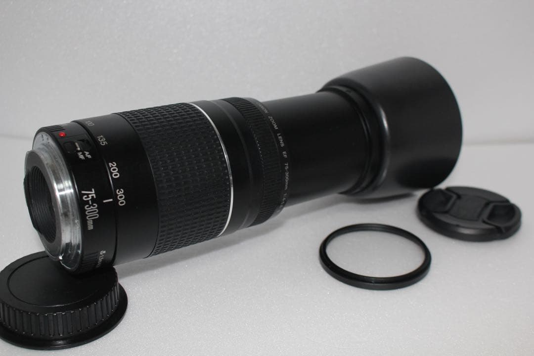 スポーツ観戦/キャノン/Canon EF 75-300㎜F4-5.6 III