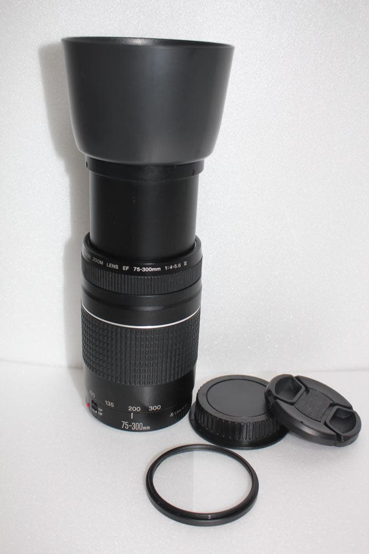 スポーツ観戦/キャノン/Canon EF 75-300㎜F4-5.6 III