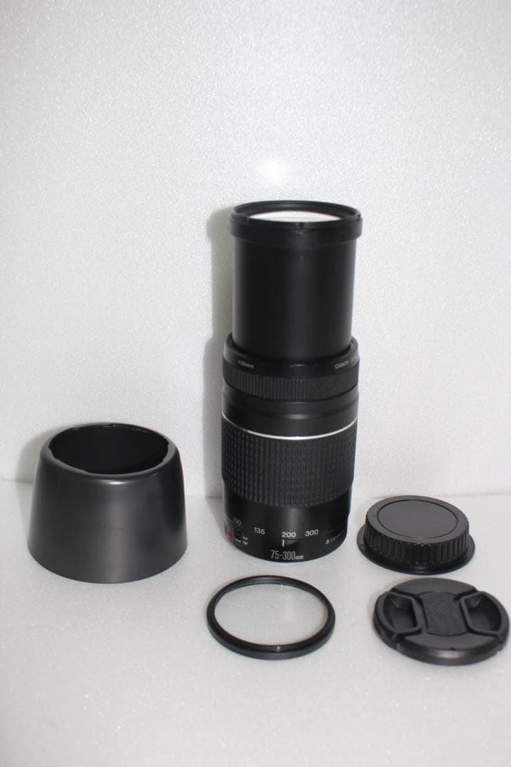 スポーツ観戦/キャノン/Canon EF 75-300㎜F4-5.6 III