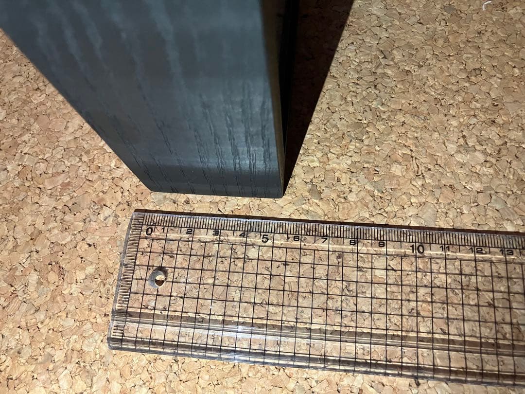 標本/ゴライアスオオツノハナムグリ/ゴライアスオリエンタリス/フィギュア付