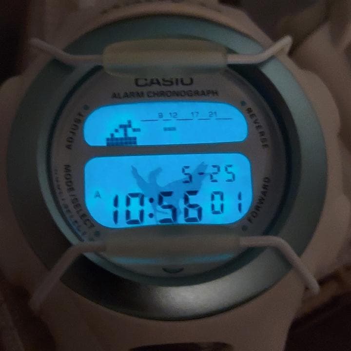 CASIO G-SHOCK　Baby-Gペア