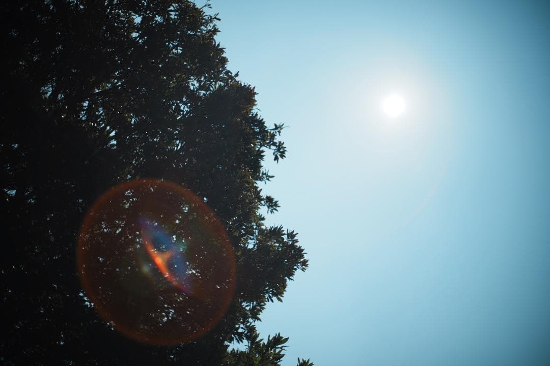 Pentax SMC Takumar 50mm F1.4 ペンタックス 303