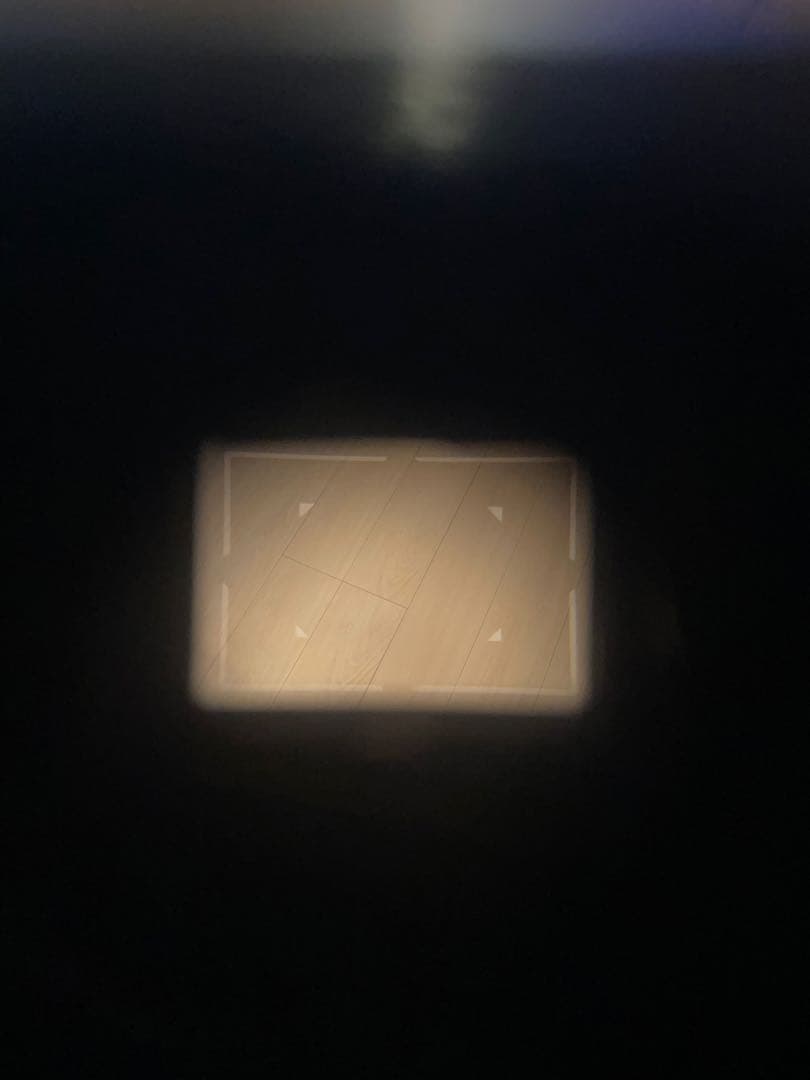 ミ*ン様 ライカ　Leica Ⅲg 3g