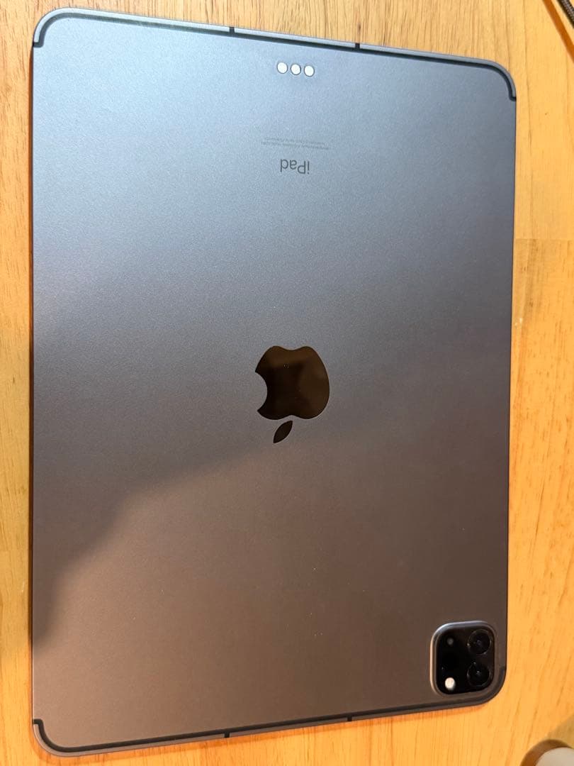 iPad Pro 11 (Celler 512GB)本体のみ + Pencil