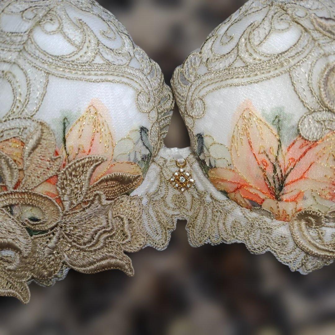 サルート　C65刺繍ビジュー付きブラジャーショーツセット