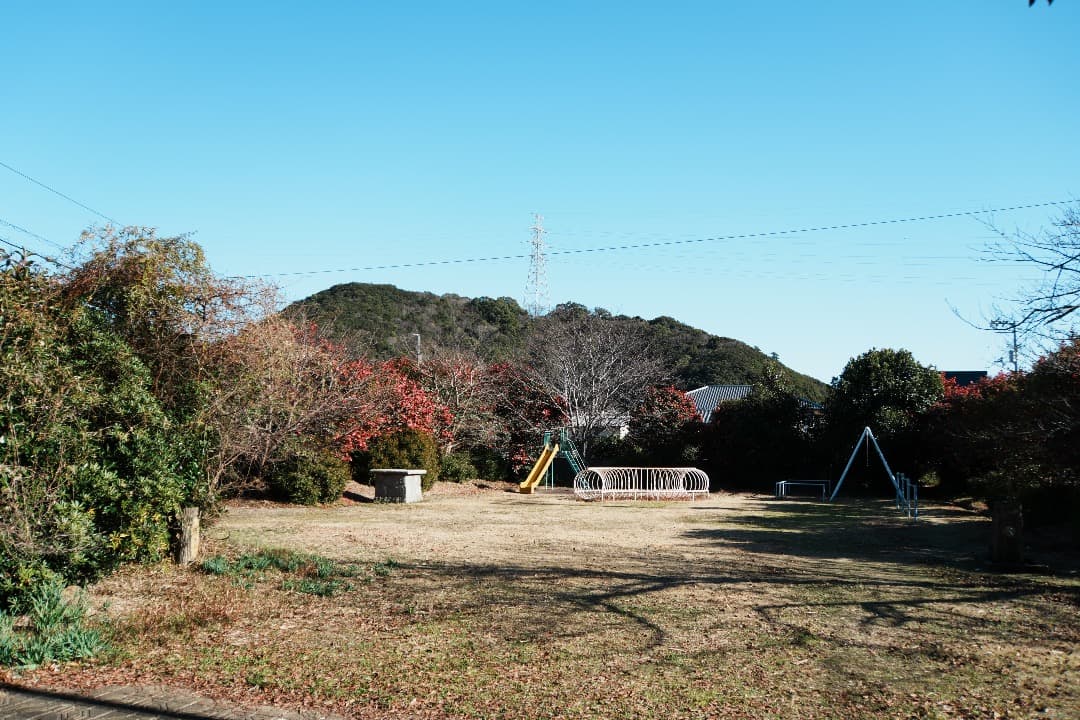 レンズ交換から解放される1本 SONY SEL18200LE 美品 719