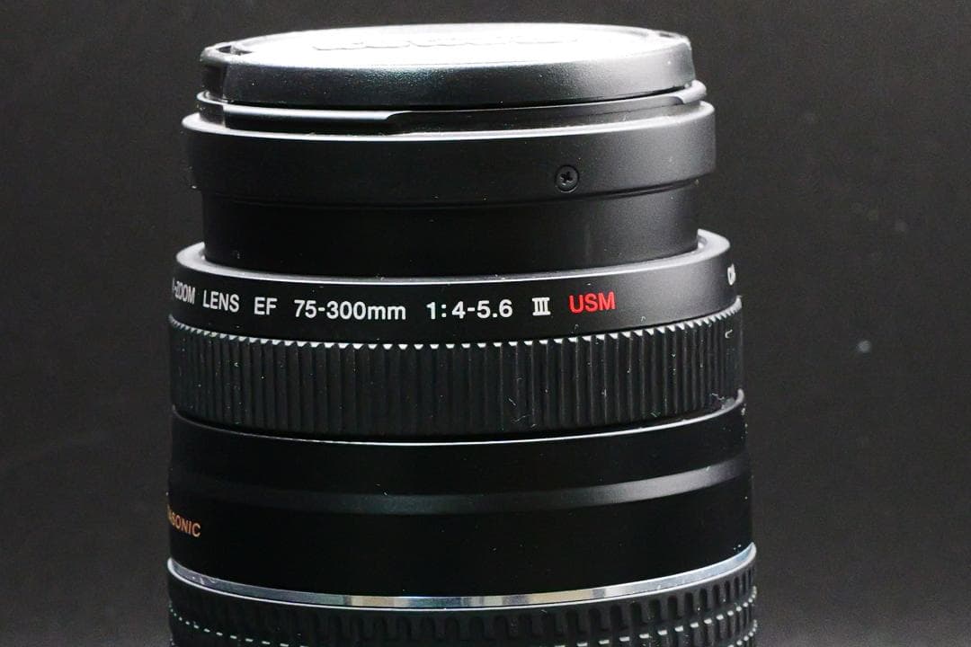 ちょれ～いPapa☆CANON ZOOM LENS EF 75-300