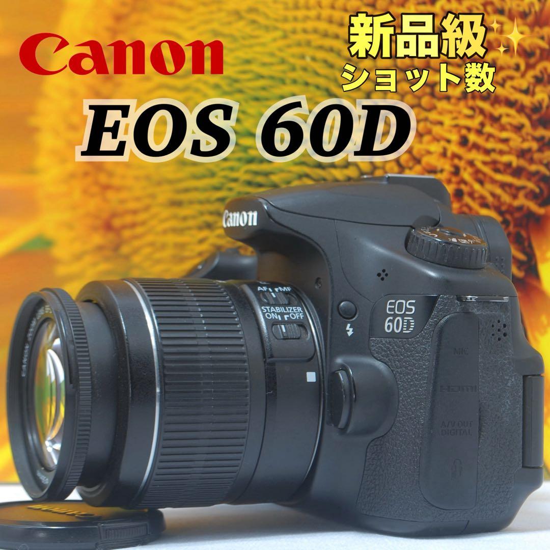 Canon EOS 60D✨新品級ショット数✨スマホ転送OK◇美品◇大人気モデル