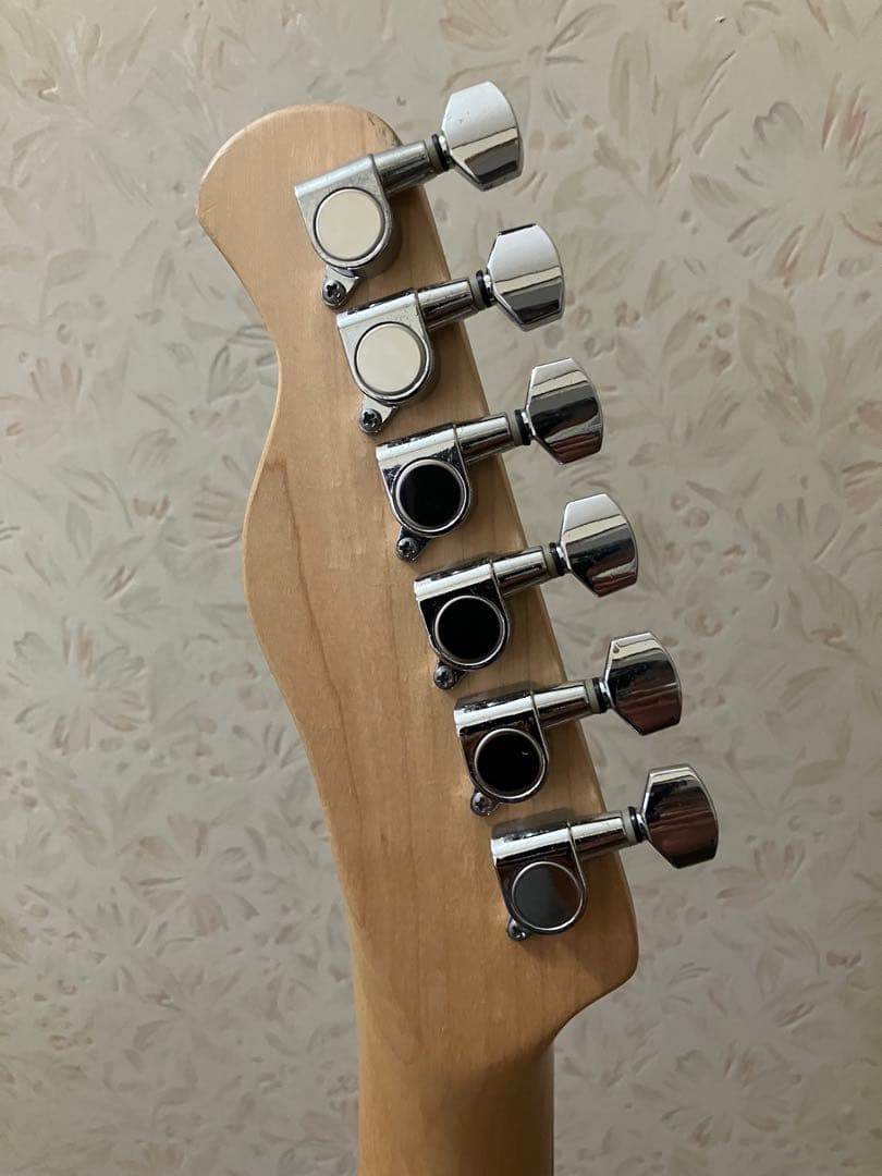 BACCHUS バッカス universe series テレキャスター 整備済