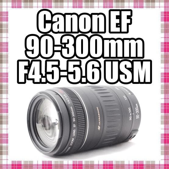 ✨望遠レンズ✨美品✨Canon EF 90-300mm F4.5-5.6 USM