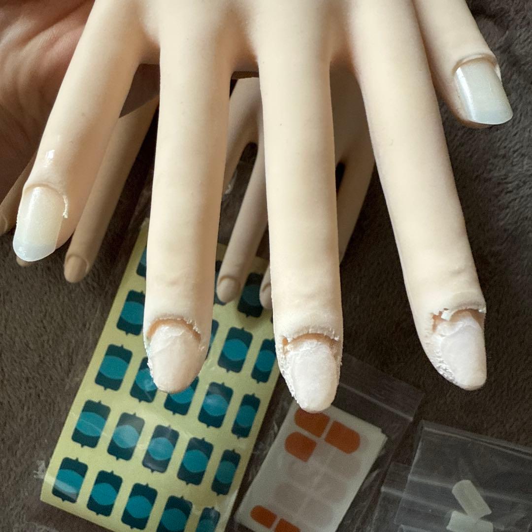 ネイル 認定モデルハンド セット 検定